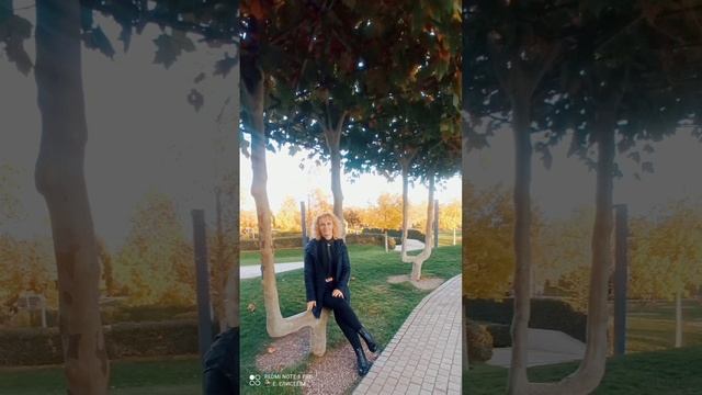 Осенний Краснодар. Парк Галицкого /Часть1/