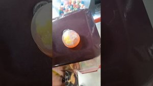 Покупаем новые лапки из автоматов, обзорчик ʕ•ᴥ•ʔ