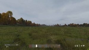 DayZ прицелы