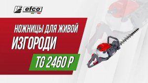 Бензиновые ножницы Efco TG 2460 P – обзор, характеристики, применение