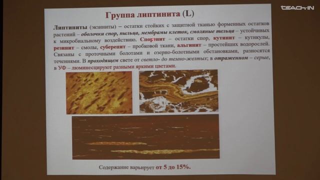 Соболева Е.В. - Геология и геохимия горючих ископаемых - 10. Органическое вещество в стратисфере. Ч2