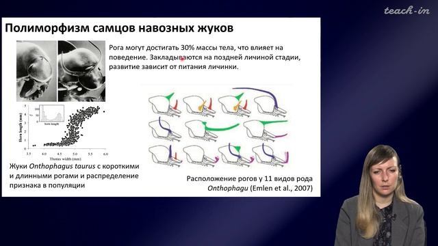 Шурупова Яна Андреевна - Теория эволюции - 10. Онтогенез и эволюция онтогенеза; коэволюция