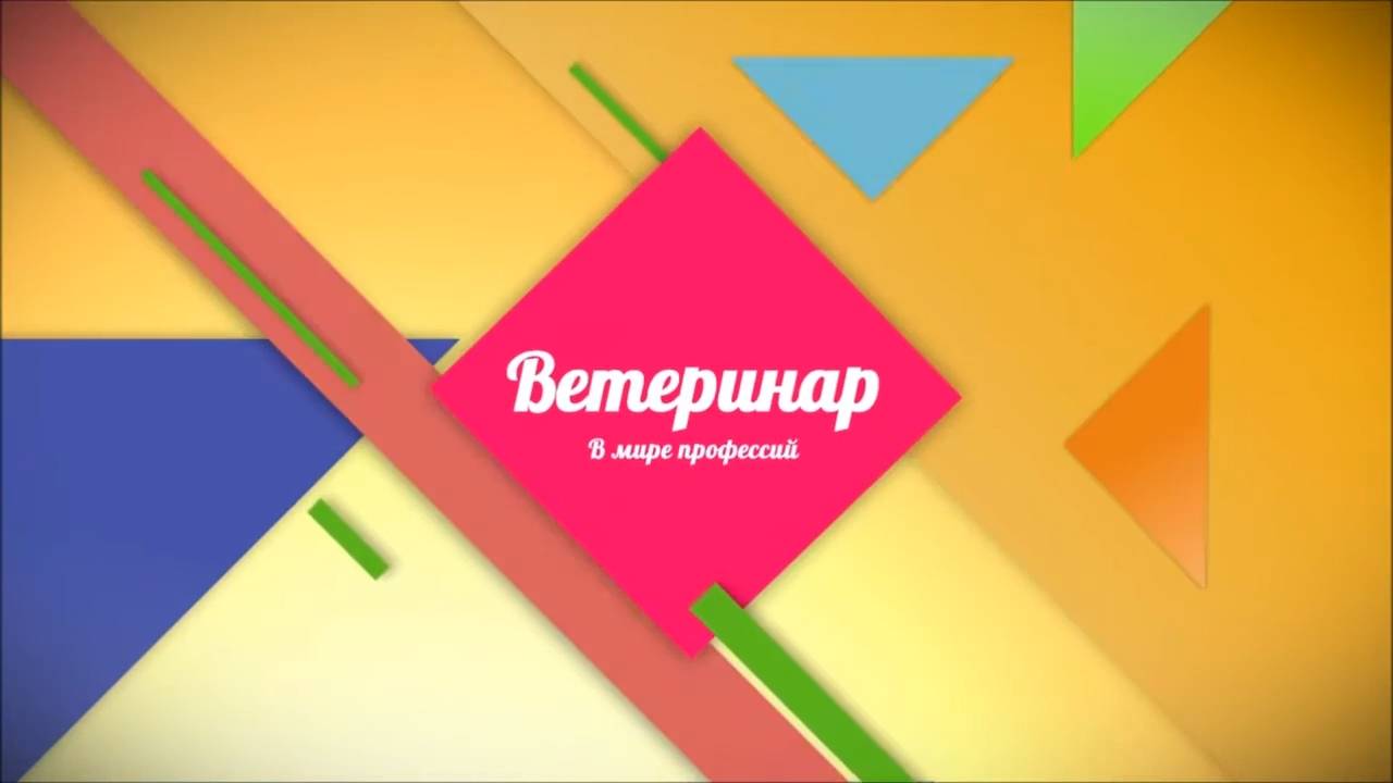 Профессия - Ветеринар