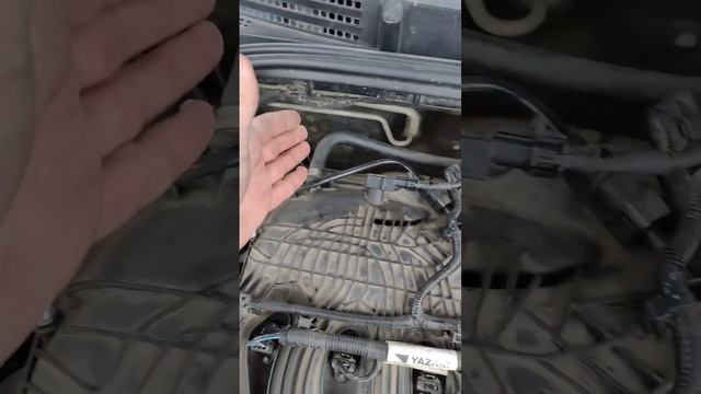 ДЕРГОТНЯ ПОСЛЕ ЭТОГО НЕ ПРОЙДЕТ!  Эффект плацебо будет 100% 😂  Подписаться 👉 @Aleksdi_official