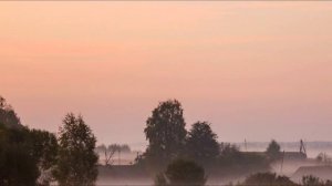 Встреча друзей