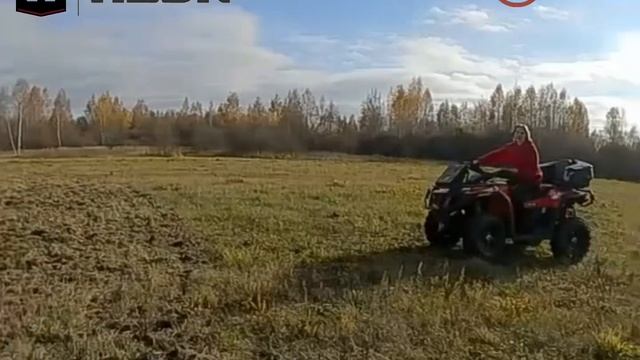 29-10-2024 смотреть онлайн