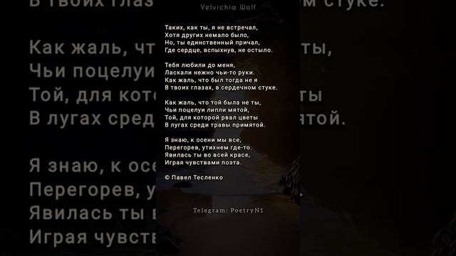 Стих - признание  #стихи #поэзия #shorts