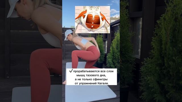 #фитнесдляздоровья #тазовоедно Курс для тазового дна в первом комментарии