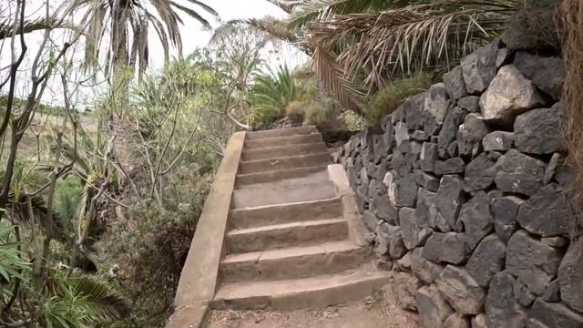 Revealing Tales of Deception on Reddit 💔🔍 смотреть онлайн