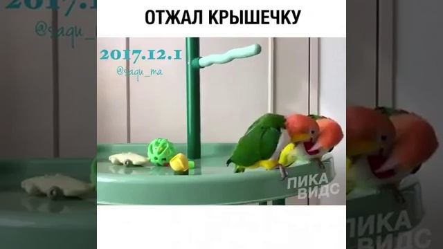 Отобрал