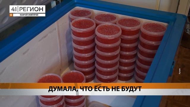 Новости Камчатки за 29 октября 2024 года