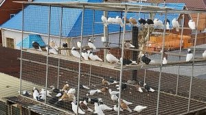 Минута РЕЛАКСа. Сказки о страхе.