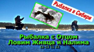 Рыбалка с Отцом Ловим Живца и Налима 12 11 23
