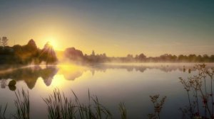 Утро на озере. клип