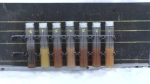 Заморозка 0W-30