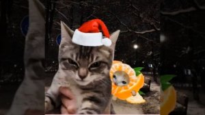 LAST CHRISTMAS PHONK (Sped up)