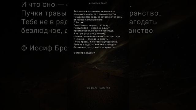 Иосиф Бродский - Вполголоса, конечно... #стихи #поэзия #shorts