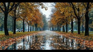 Осенний дождь, видео для сна