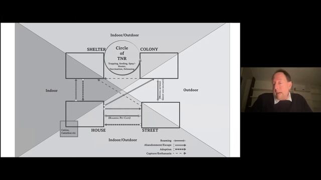 Chris Kelty and Jessica Lynch- Pouncing on Opportunities смотреть онлайн