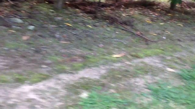 Going apple picking and riding a cow смотреть онлайн