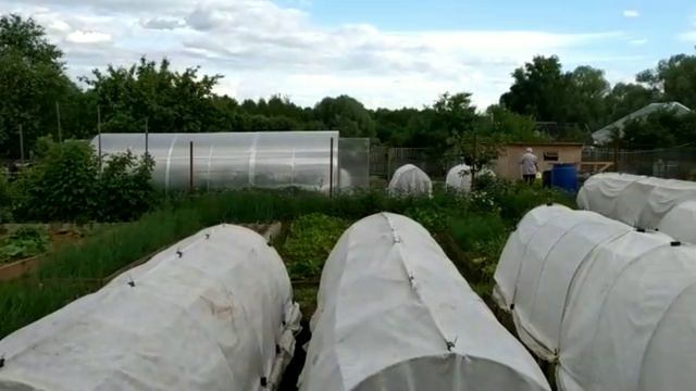 Турлово 2022