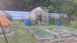 хроника за 29.06.24 загараю, поливаю, жарю шашлыки