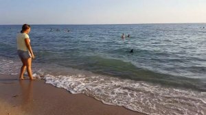 КРЫМ. ЗАОЗЕРНОЕ. МОТОПАРАПЛАНЫ. МОРЕ. ПЛЯЖ.