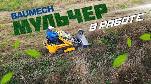 Мульчер в работе I Мини-погрузчик BAUMECH ML-03 PRO #Баумех #Мульчер