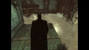 Прохождение Batman Arkham City. (Часть 14)