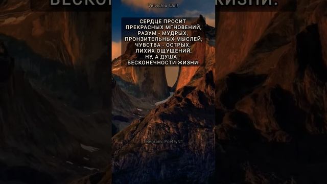 Сердце просит... ❤️  #poetry #poem #short