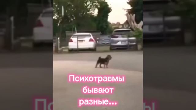 Психотравмы бывают разные...