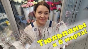 Посадка тюльпанов и гиацинтов на выгонку в горшках| Сезон 2025