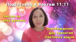 Подготовка к Вратам 11:11 / Чистка на всех уровнях / Освобождение для принятия Световых кодов