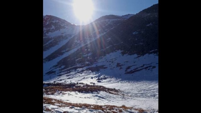 [Free] Mac Miller Type Beat | "Fly" RnB (Instrumental) смотреть онлайн