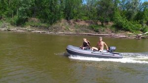 Пеликан 320 с Сиа про 5.