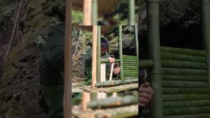 Постройте бамбуковый домик на водопаде