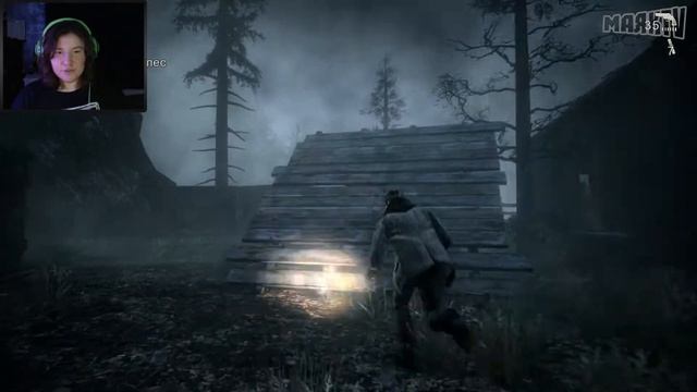 БУДУЩИЕ ПРОБЛЕМЫ◗ Alan Wake #5 смотреть онлайн