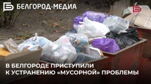 В Белгороде приступили к устранению «мусорной» проблемы