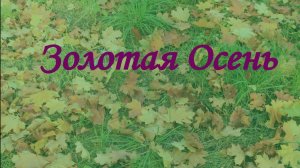 Золотая осень в г. ОЗ