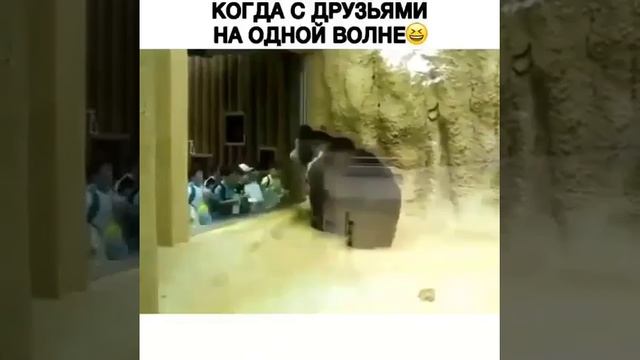 На одной волне
