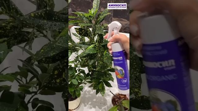 Обеспечьте ваши растения самыми вкусными витаминами от Аминосил!