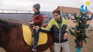 Конный спорт и иппотерапия как средств реабилитации инвалидов