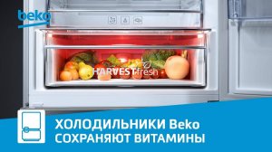 Технология Harvest Fresh в холодильниках Beko | Овощи и фрукты сохраняют витамины дольше