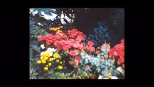 Caretaker - It's Just a Burning Memory (Everywhere At The End of Time)