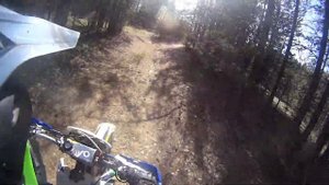 Дыроватый камень 22.04.2024г.