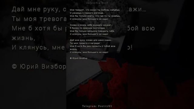 Юрий Визбор