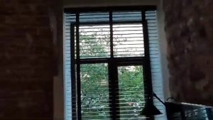 Горизонтальные жалюзи с электроприводом + пульт управление 2мя Coulisse 50 мм , SVIL