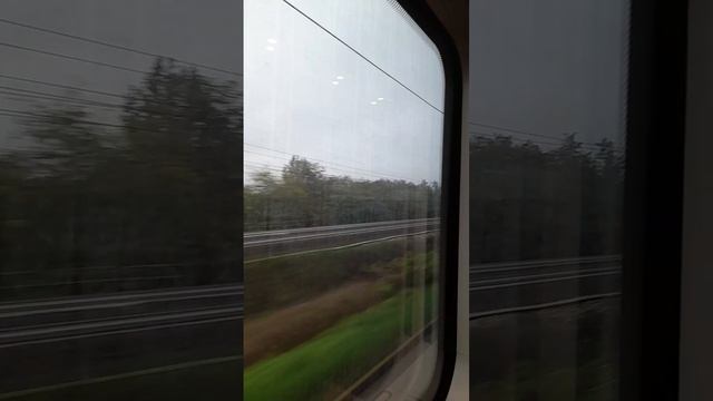 VID-20241024-WA0046