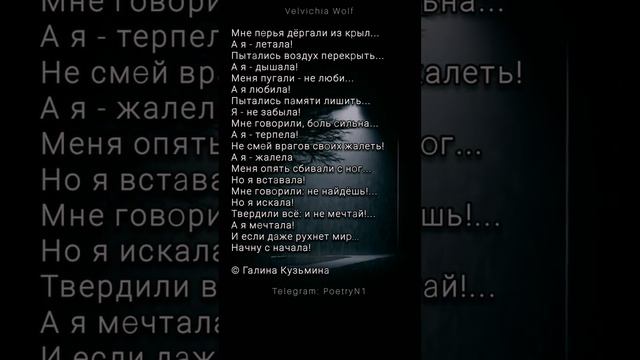 Мне перья дёргали из крыл... #стихи #поэзия #shorts