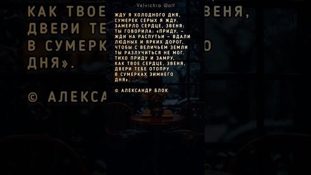 Жду я холодного дня... #стихи #поэзия #shorts